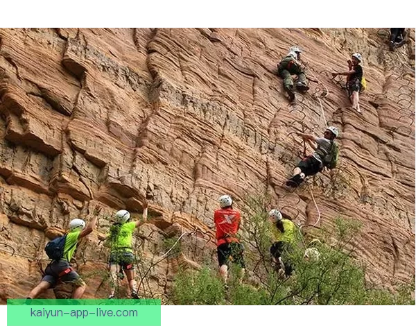 开云体育引领数字化体育新时代打造全球领先体育平台